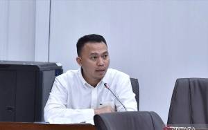 Anggota DPR Minta ASDP Indonesia Ferry Tindak Tegas Praktik Calo Tiket