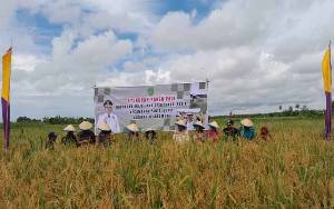 Pemkab Sukamara Maksimalkan Sumberdaya Petani untuk Pertanian Terintegrasi