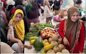 TPHP Kalteng Anggarkan Rp200 Miliar Lebih untuk Meningkatkan Tanaman Sayuran