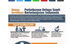Hilirisasi Sawit Indonesia Cakup Empat Tujuan Utama