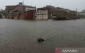Banjir di Selatan Brasil Tewaskan 126 Orang