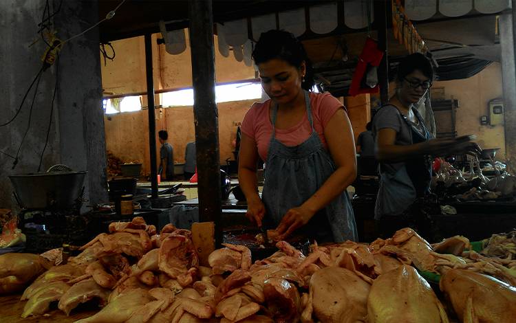 Harga Daging Ayam Ras dan Ayam Kampung Turun di Kotawaringin Barat