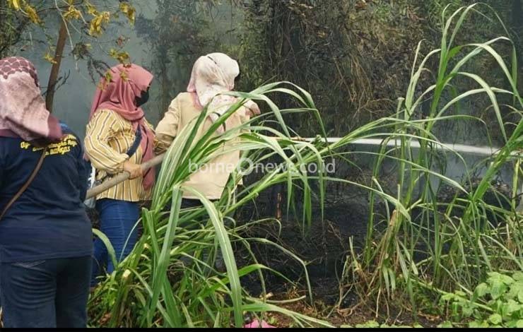 Lurah Kalampangan Bersama Anggota PKK Padamkan Karhutla di Jalan Kahuripan RW 4 demi Keselamatan Lahan Pertanian