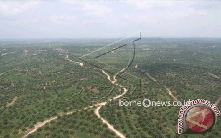 Pakar: Penertiban Kawasan Hutan Perlu Selaras Kepastian Hukum HGU